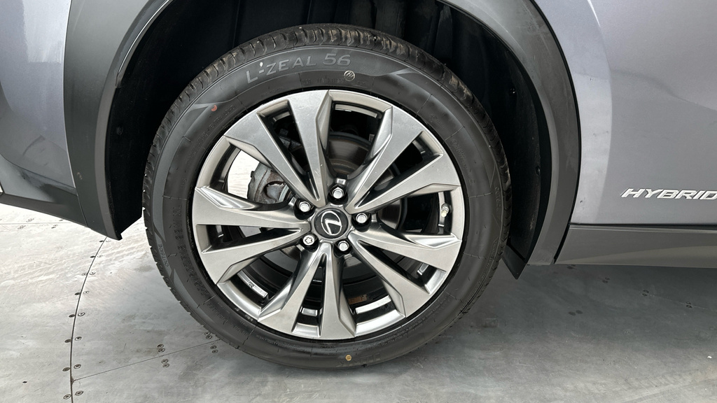 Lexus UX 2L Null Grey #26