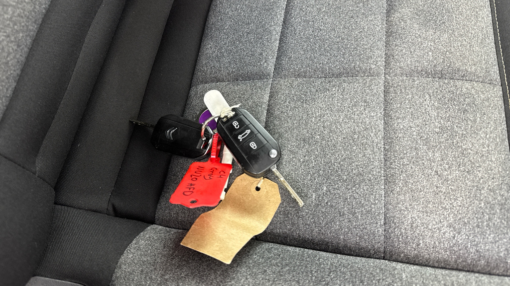 Citroen C4 Cactus Hatchback Grey #22