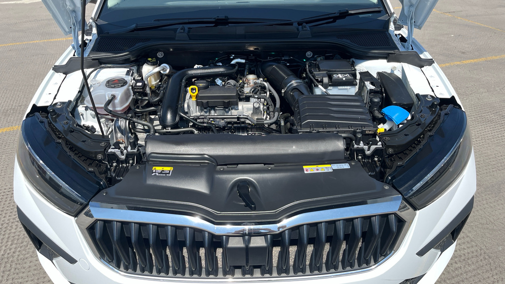 Skoda Scala Monte Carlo Edition Grey #19