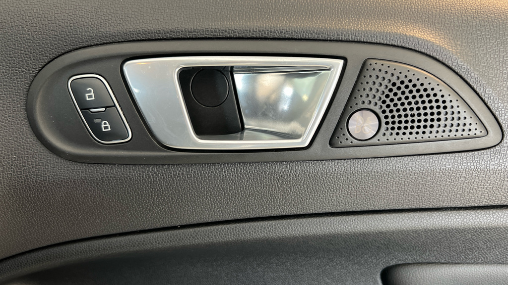 Ford Ecosport Grey #46