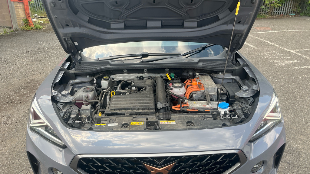 Cupra Formentor 1.5 Tsi 150 V2 Dsg Black #16