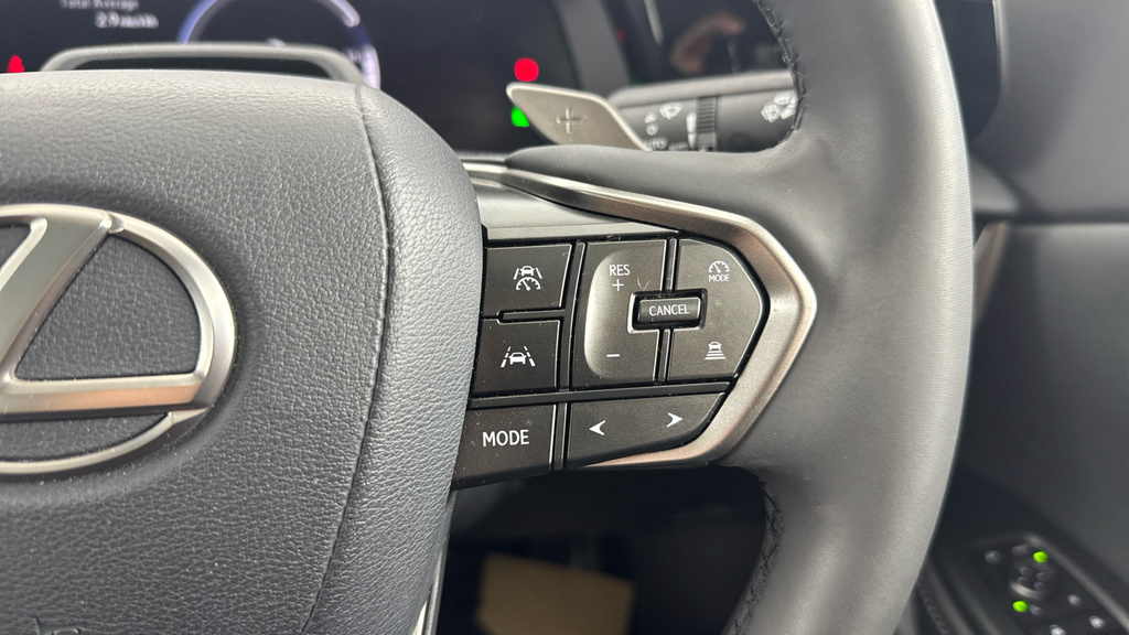 Lexus RZ 300E 71.4Kwh Premium Plus Silver #26