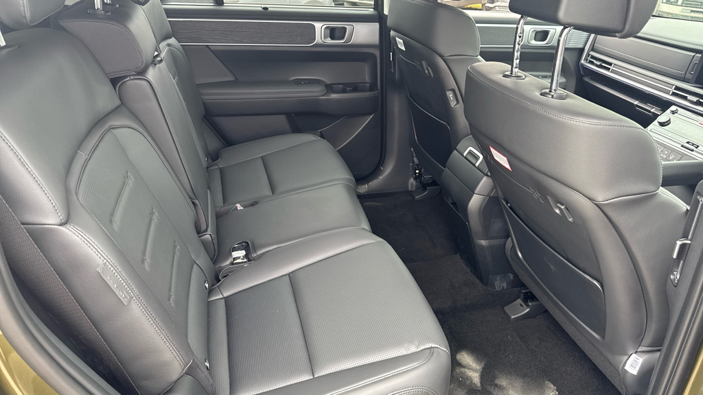 Hyundai Santa Fe Calligraphy Black #14