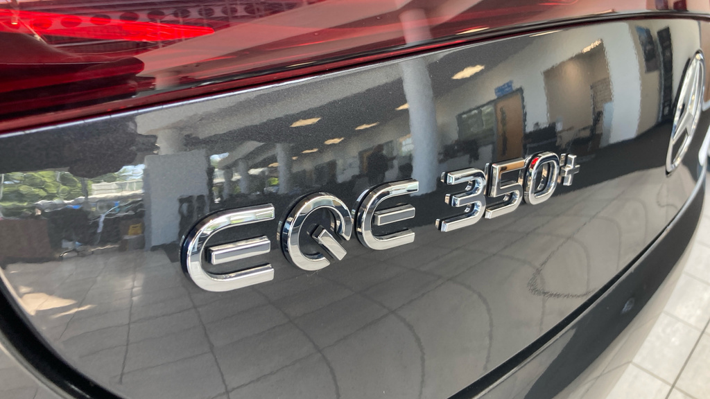 Mercedes-Benz EQE Suv Black #26