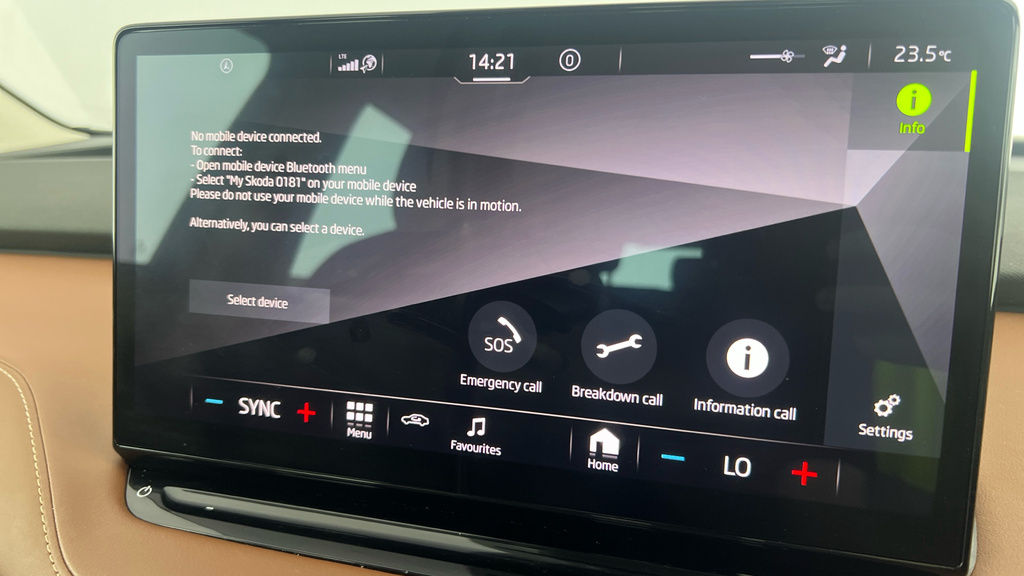 Skoda ENYAQ 80 Black #15