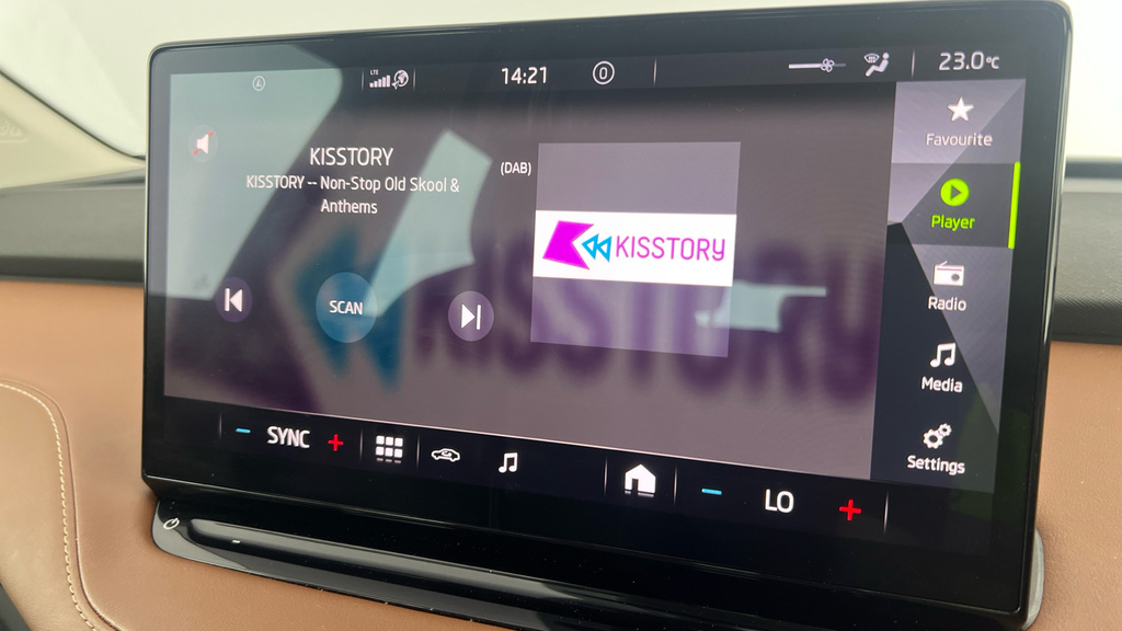 Skoda ENYAQ 80 Black #20