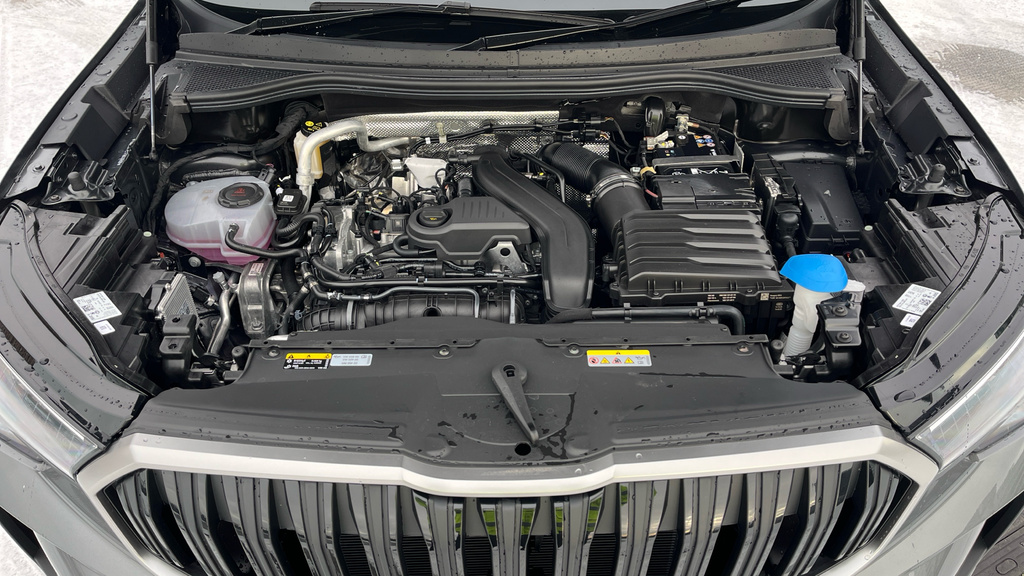 Skoda Kodiaq Se Blue #25