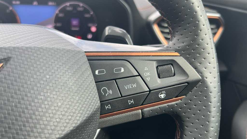 Cupra Formentor V2 Tsi 150Ps 7 Speed Dsg Suv Black #24