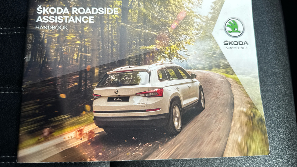 Skoda Karoq Se L Tsi Blue #21