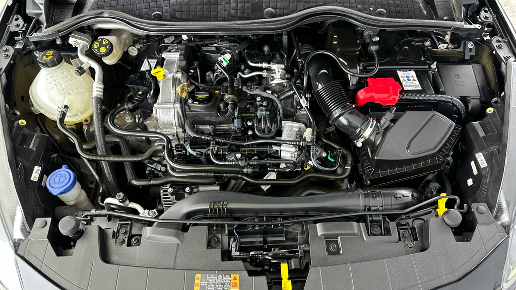Ford Fiesta 1.5 Ecoboost St-3 Green #24