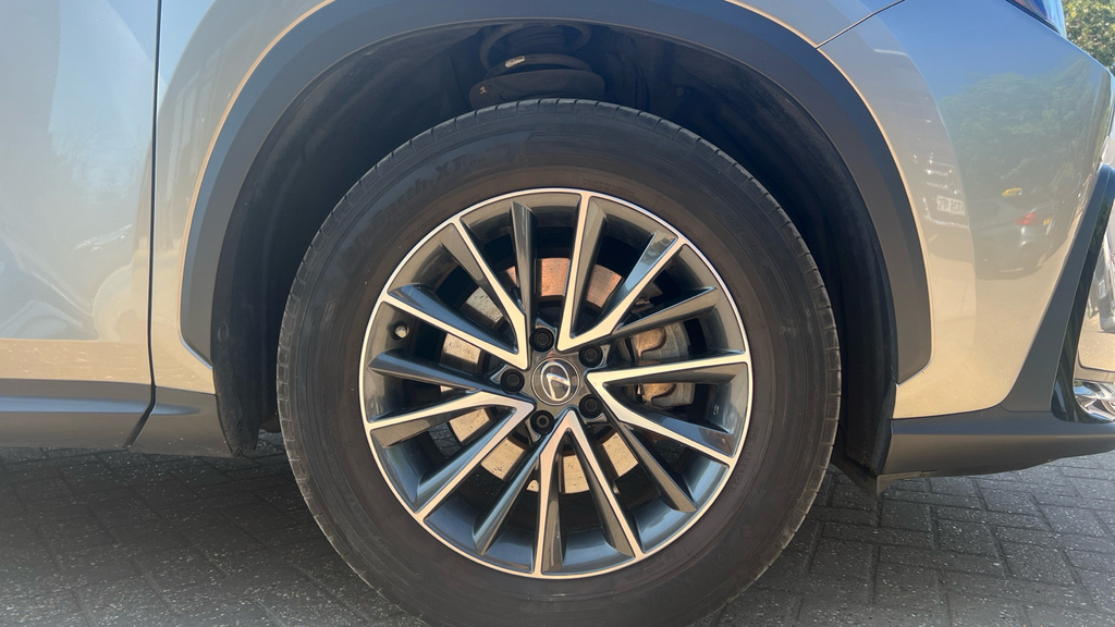 Lexus NX 2.5 18.1Kwh E-cvt 4Wd Euro 6 Ss #17