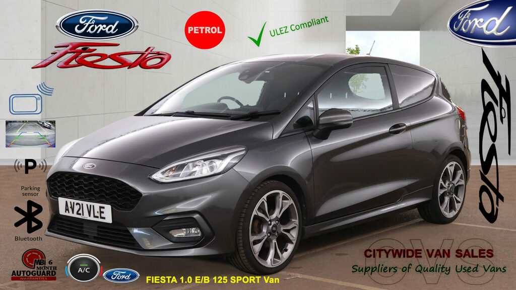 Ford Fiesta Ford Fiesta 2021 Grey