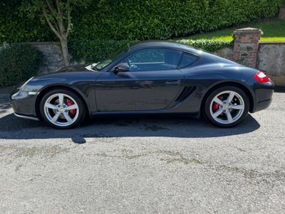 Porsche Cayman S #17