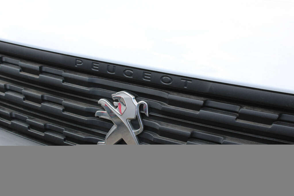 Peugeot Partner L1 Professional Premium 1.5 Bluehdi 100 Bhp 1000 #13