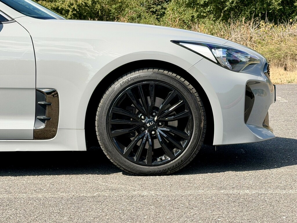 Kia Stinger  White #21