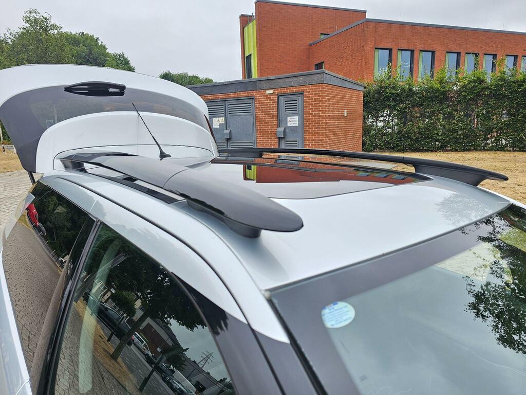 Citroen C4 Cactus  Red #13