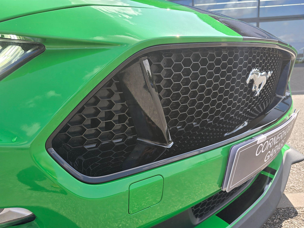Ford Mustang 5.0 V8 Bullitt Green #25