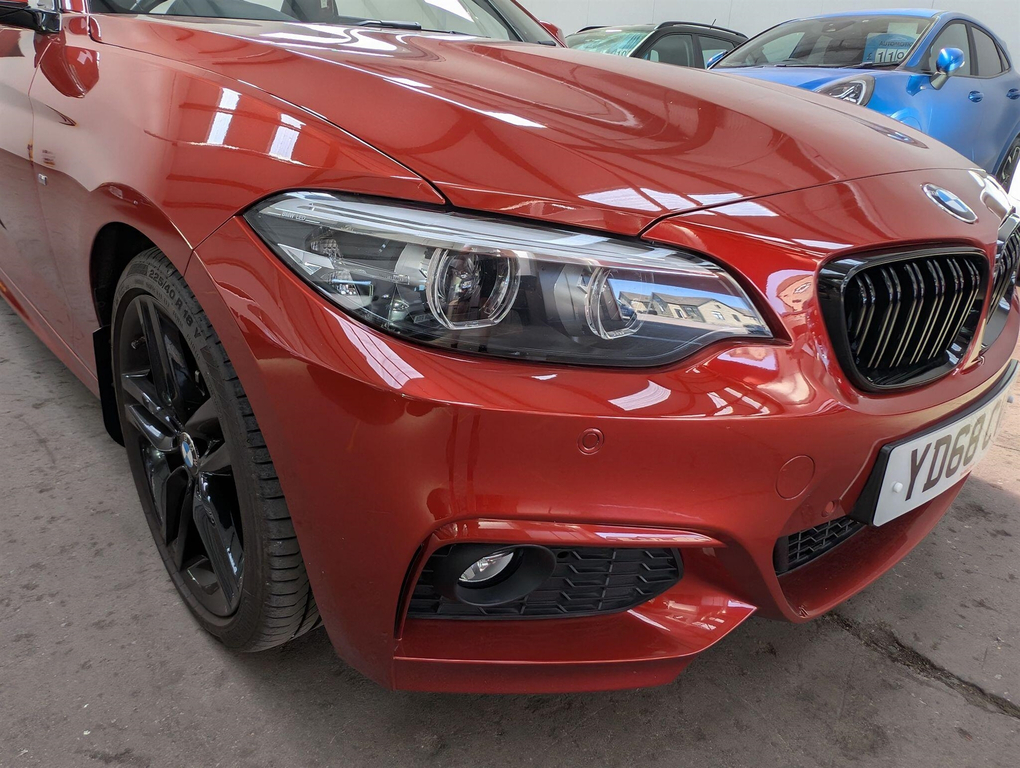 BMW 2 Series 2.0 M Sport Euro 6 Ss #4