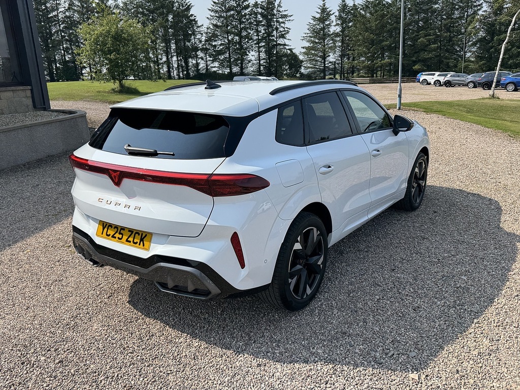 Cupra Terramar Suv White #5