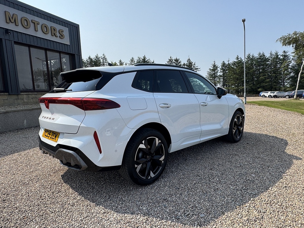 Cupra Terramar Suv White #4