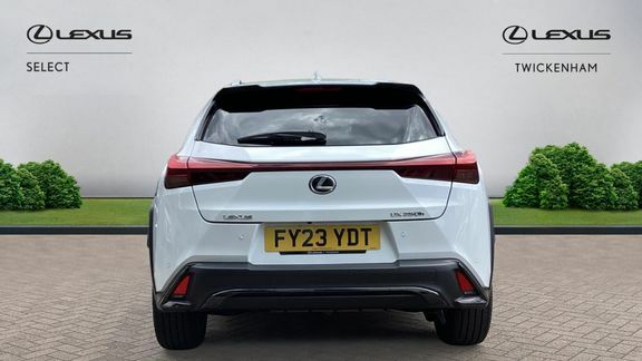 Lexus UX F Sport Design White #5
