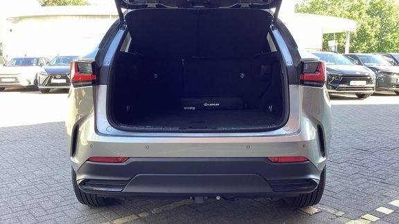 Lexus NX 2.5 450H 18.1Kwh Takumi E-cvt 4Wd Euro 6 Ss  #14