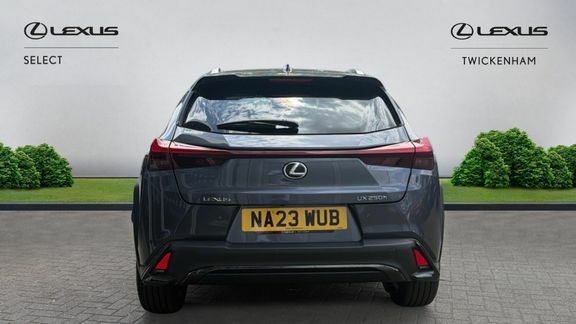 Lexus UX F Sport Design Grey #5