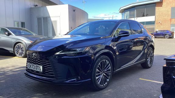 Lexus RX 2.5 350H Prem Plus E-cvt 4Wd Euro 6 Ss Grey #25