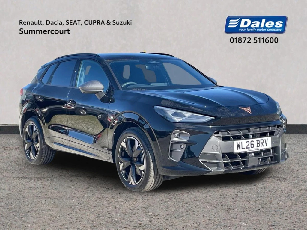 Cupra Terramar 2.0 Tsi 204 V2 Dsg 4Drive Black