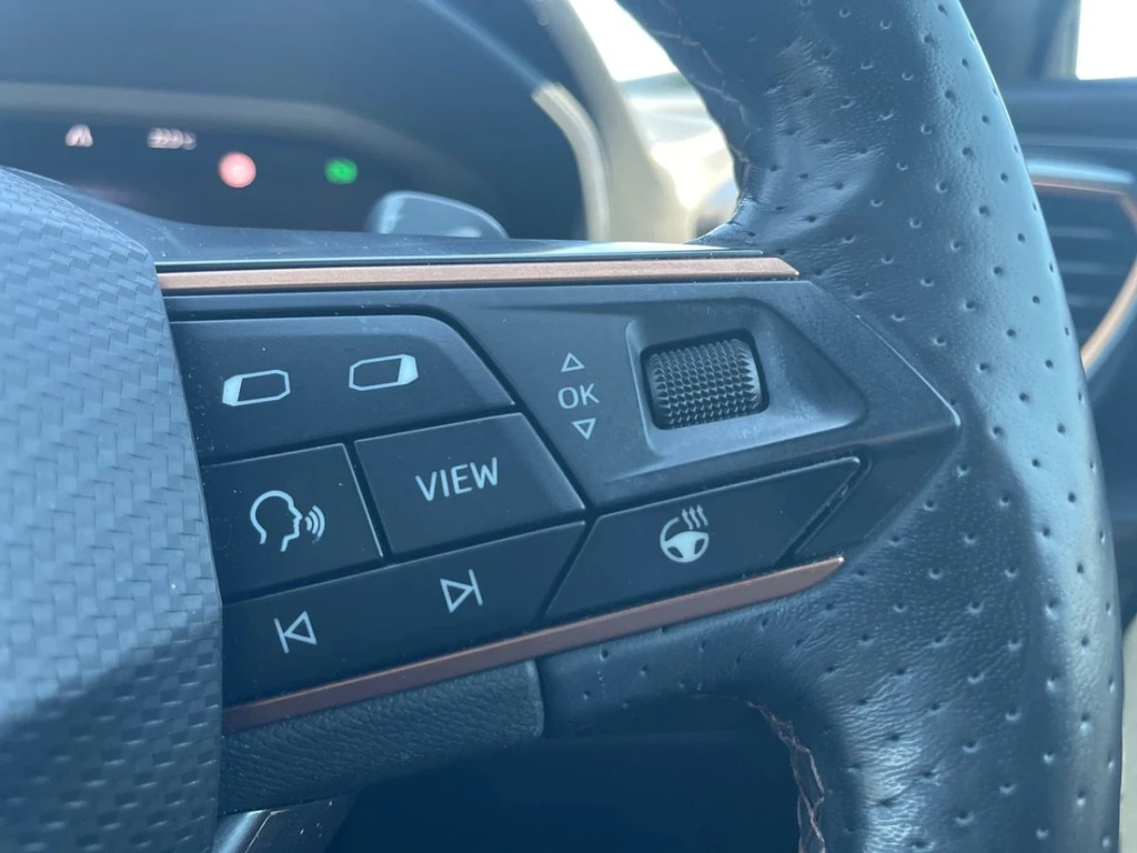 Cupra Formentor V1 Grey #32