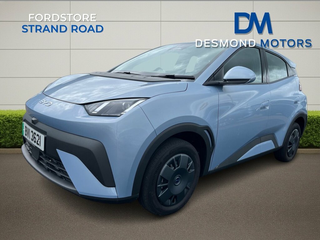 Byd Dolphin Surf Active Blue #6