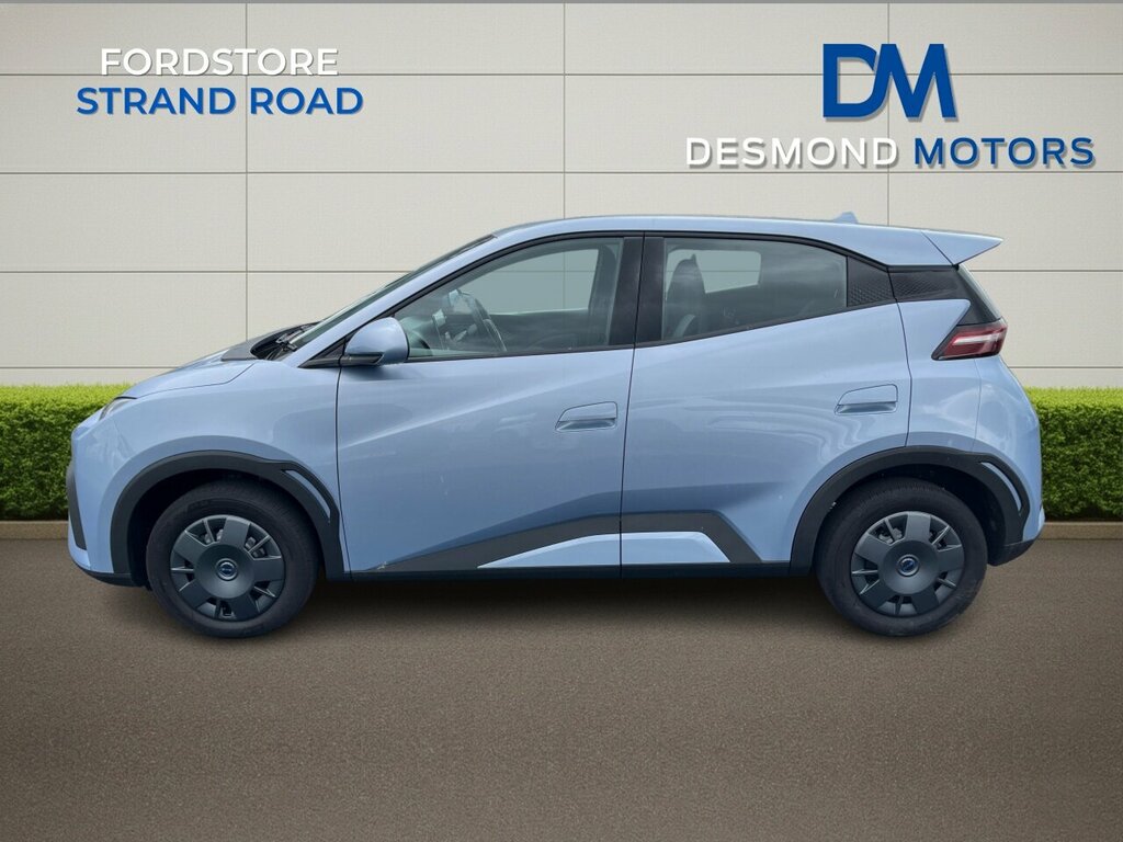 Byd Dolphin Surf Active Blue #4