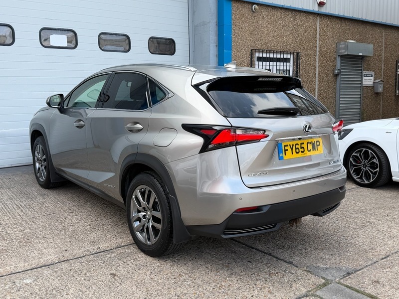 Lexus NX 2.5 Luxury E-cvt 4Wd Grey #6