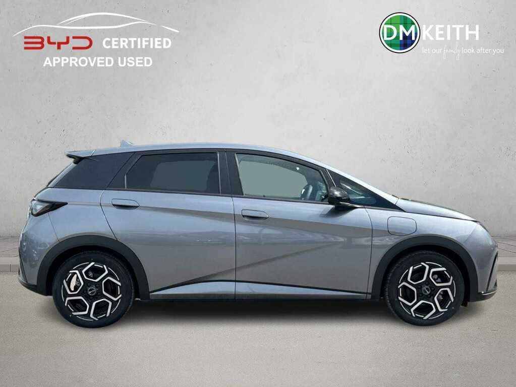 Byd Dolphin Design Ev Grey #5