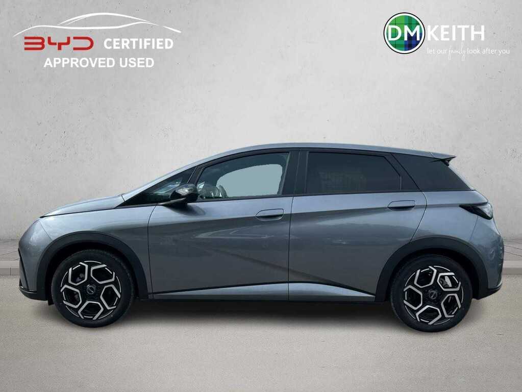 Byd Dolphin Design Ev Grey #4