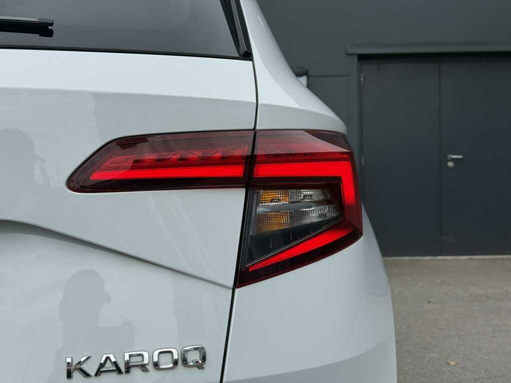 Skoda Karoq Se Silver #17
