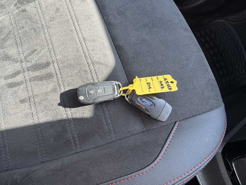 Ford Ecosport St-line Grey #35