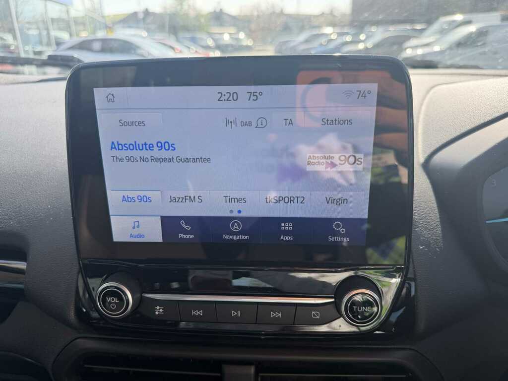 Ford Ecosport St-line Grey #25