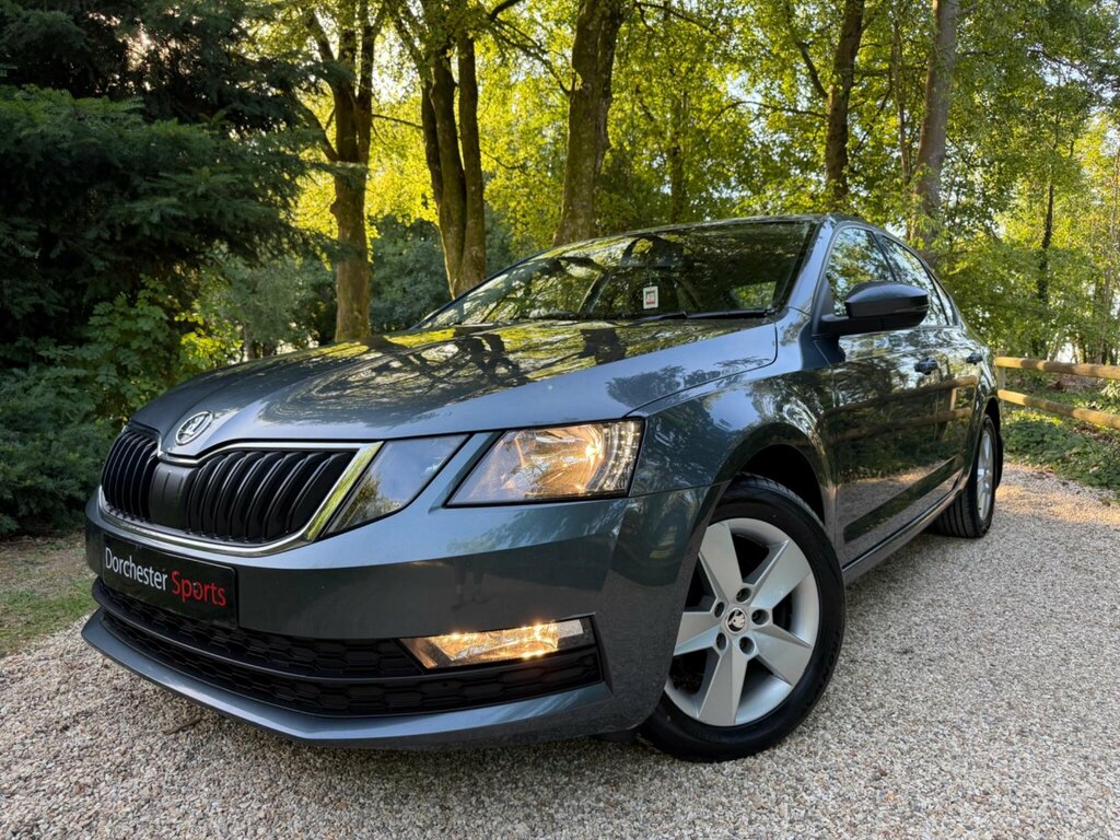Skoda Octavia 1.6 Tdi Se Euro 6 Ss Grey