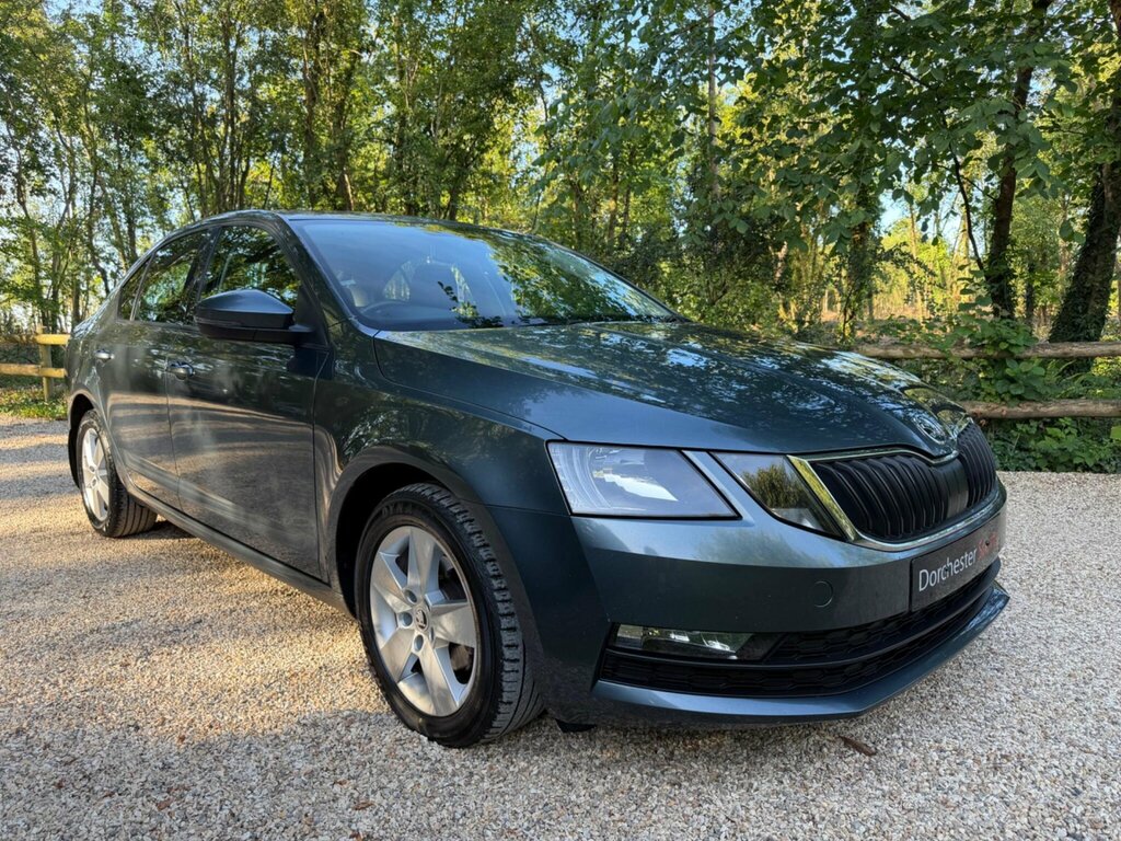 Skoda Octavia 1.6 Tdi Se Euro 6 Ss Grey #3