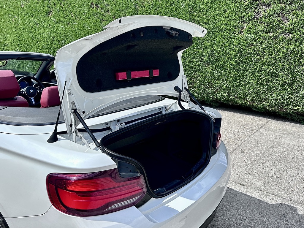 BMW 2 Series 218I Sport Orange #14