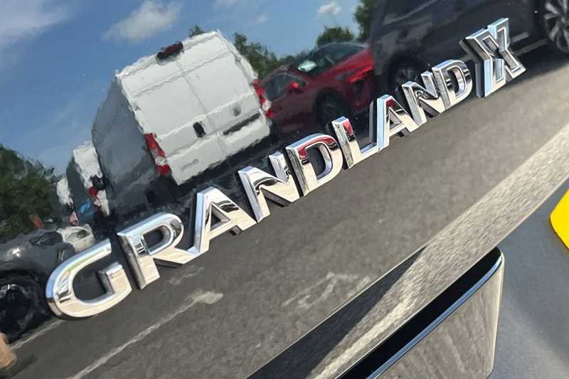 Vauxhall Grandland X 1.2 Turbo Sri Nav Red #30