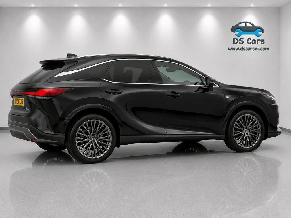 Lexus RX Takumi Phev Cvt Black #5