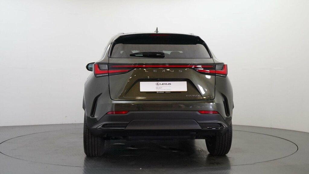 Lexus NX 2.5 350H E-cvt 4Wd Euro 6 Ss Green #5