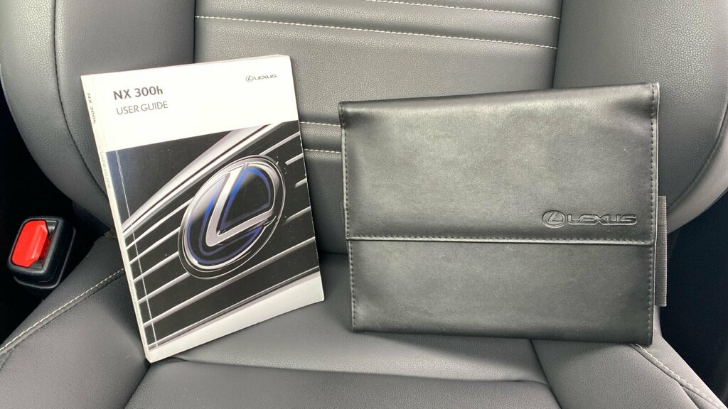 Lexus NX 300H 2.5 Takumi Cvt Pan Roof Silver #27