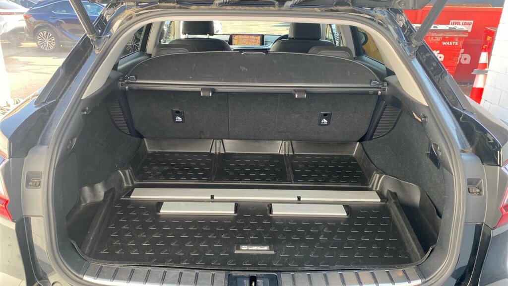 Lexus RX Suv Silver #14