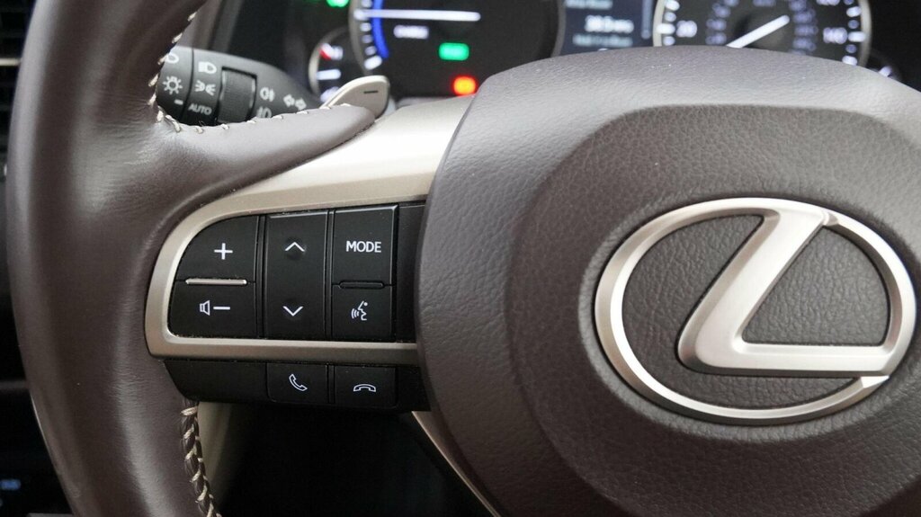 Lexus RX 3.5L Takumi Silver #20