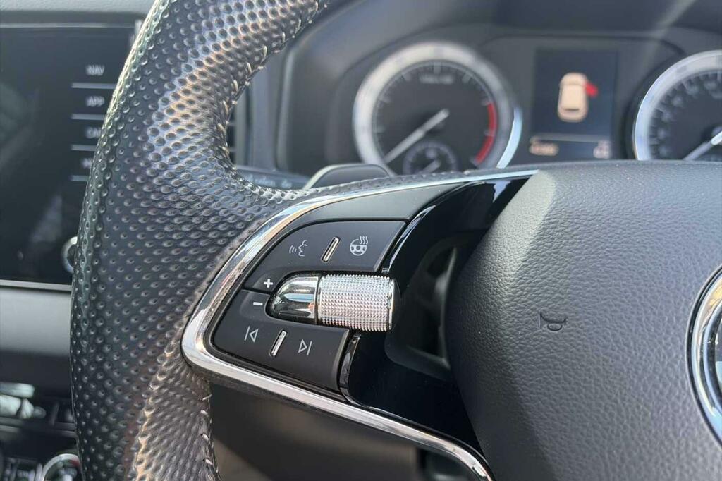 Skoda Karoq Suv White #17