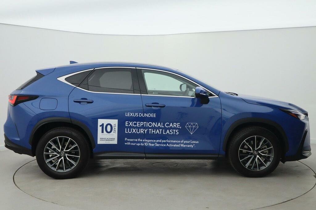 Lexus NX 2.5 450H 18.1Kwh Premium E-cvt 4Wd Euro 6 Ss 5 Blue #6
