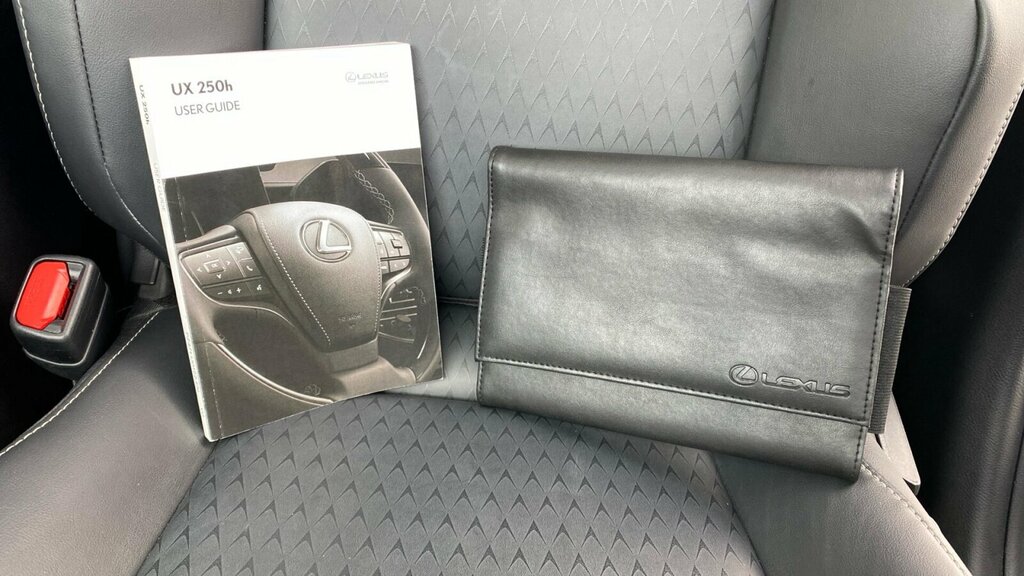 Lexus UX Ux Premium Sport Edition Grey #27